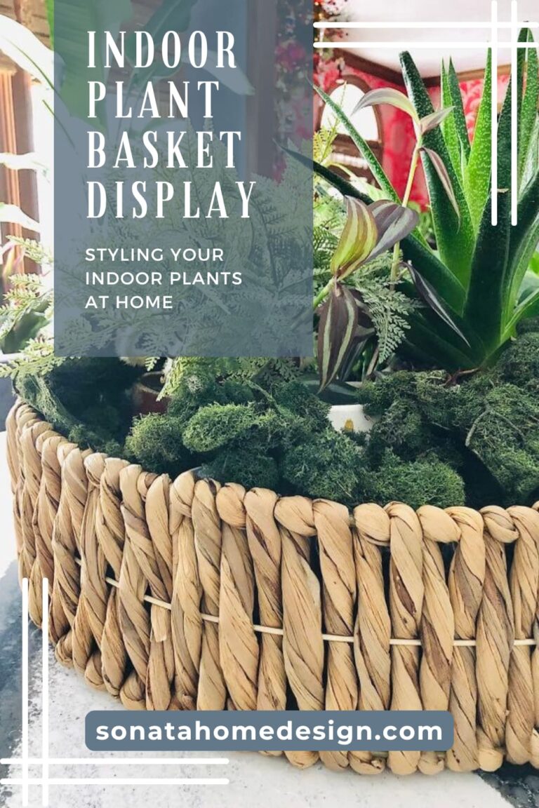 How to Arrange Indoor Plants in a Basket for a Stunning Display ...
