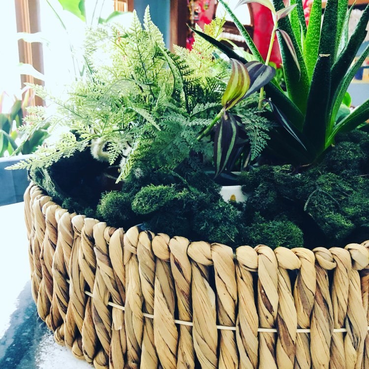 A myriad of plants in a basket.