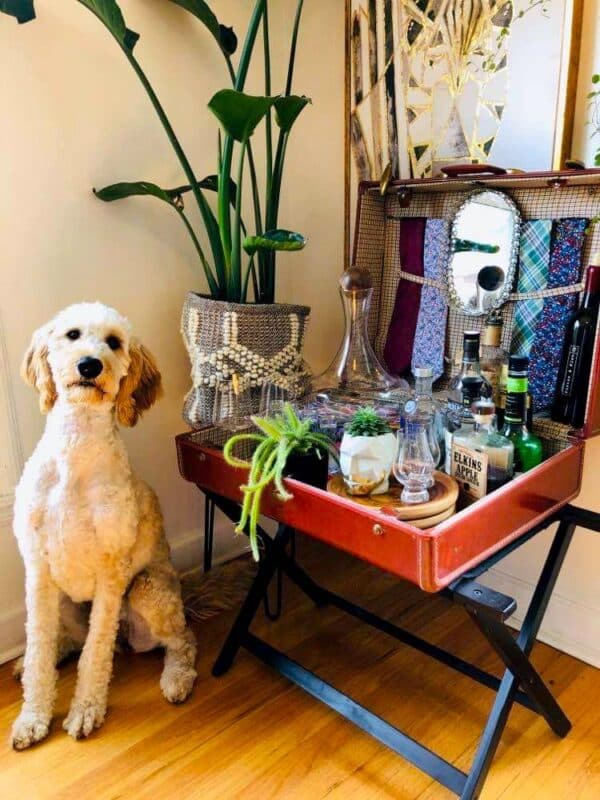 A Suitcase Bar Cart an Easy Transformation Sonata Home Design