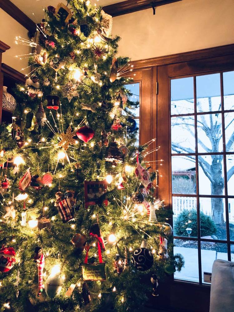 a lighted Christmas tree at dusk.