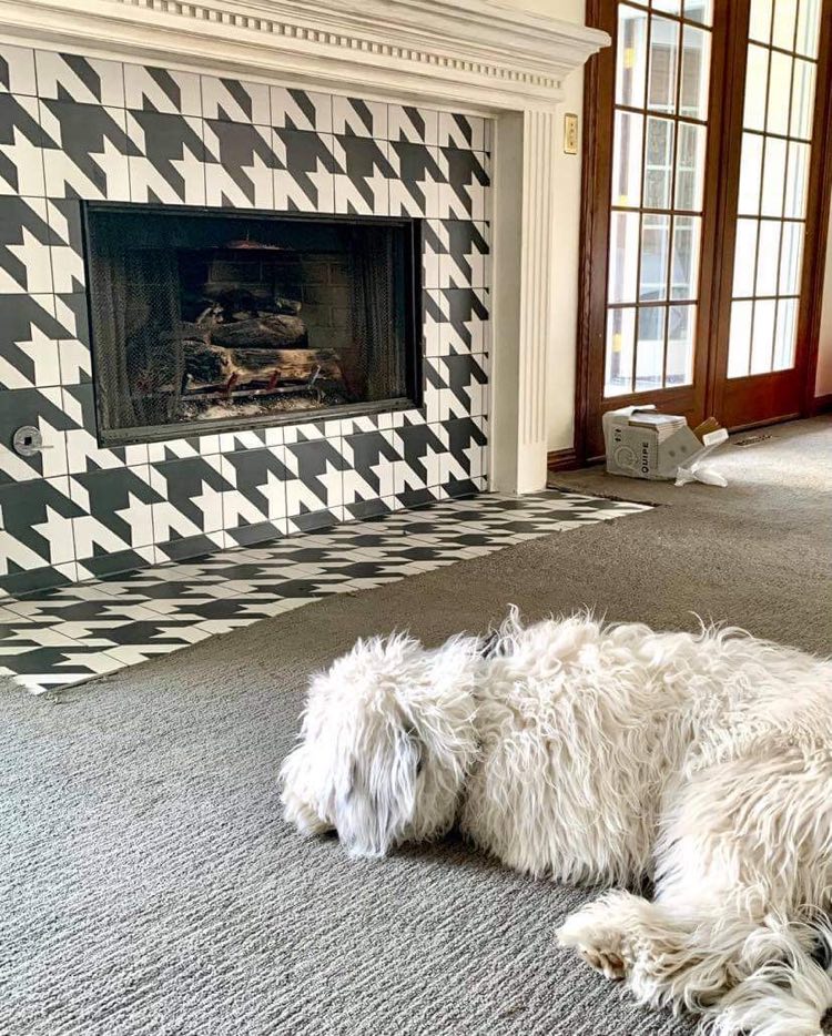 Dog napping in front of fireplace.