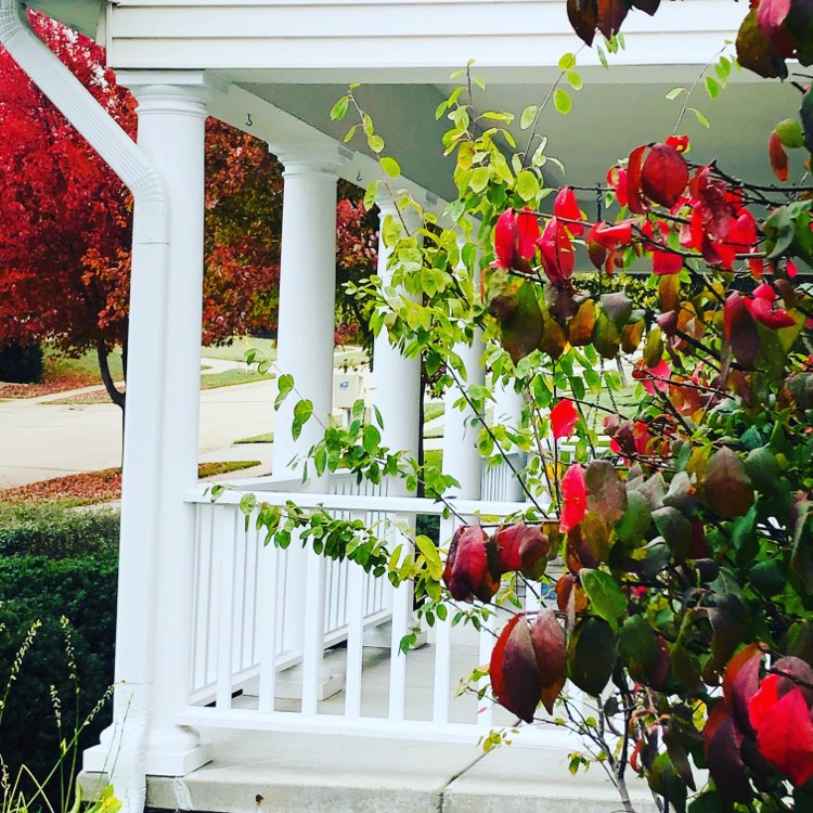 A burning bush with red leaves beside a white porch.