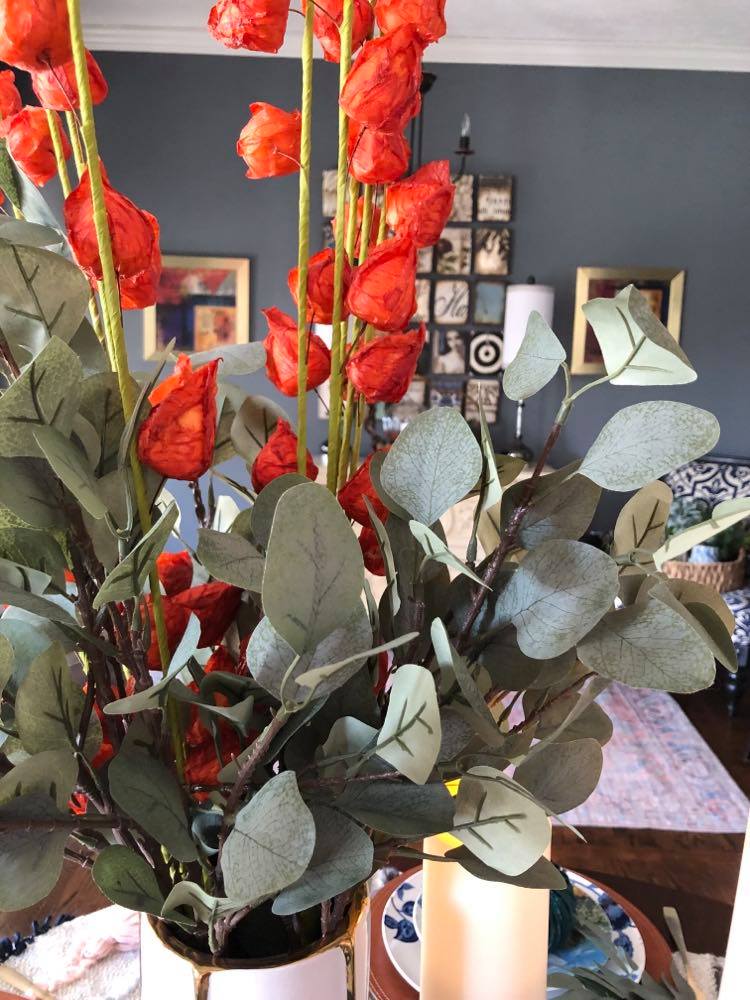 Green eucalyptus and orange Chinese lanterns serve as the faux flowers in the centerpiece on this colorful Thanksgiving table..