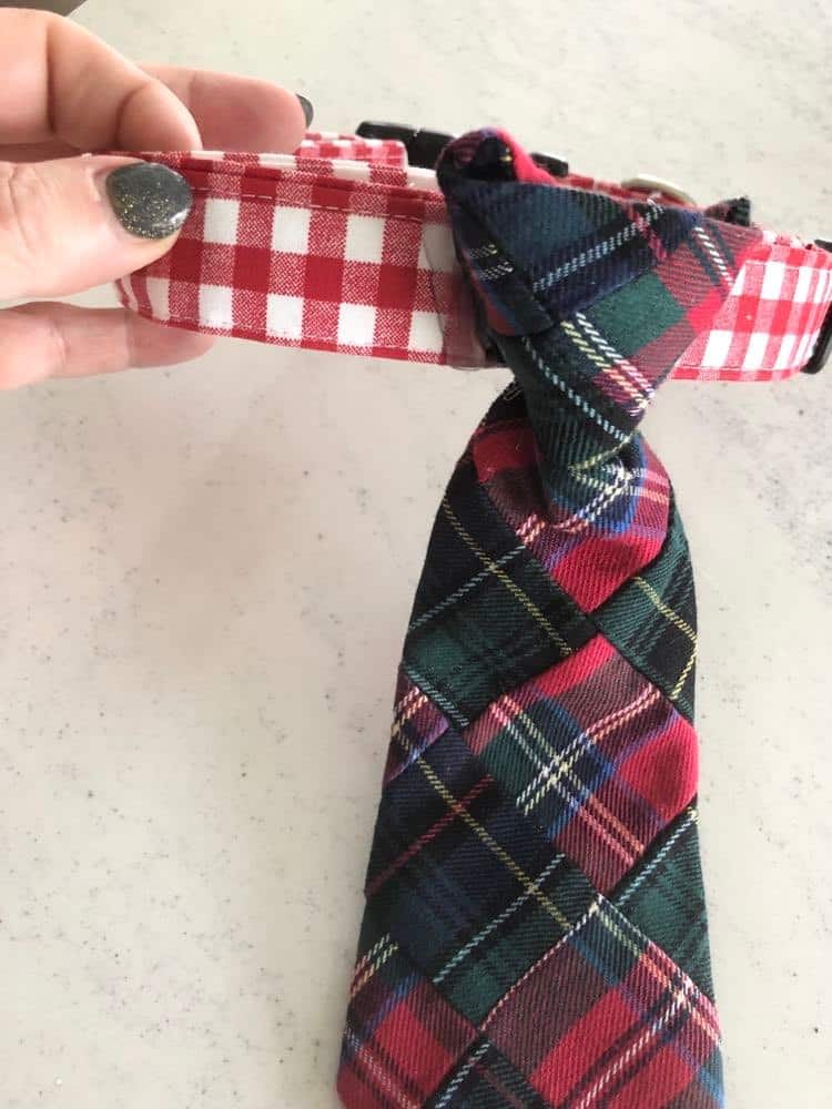 Merry and Bright holidays are a sure thing with this plaid dog tie.