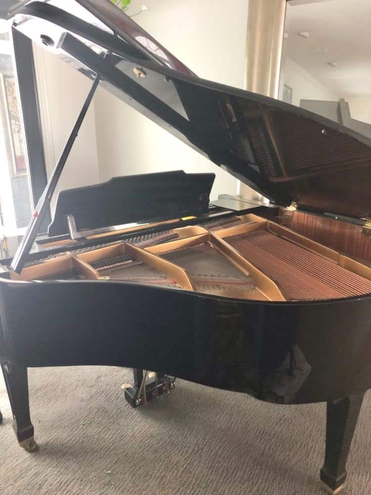 A black baby grand piano.