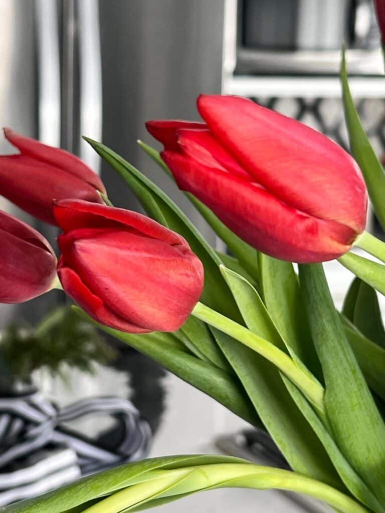 Fresh, red tulips are an easy accent to decorate using Valentine's Day home decor.