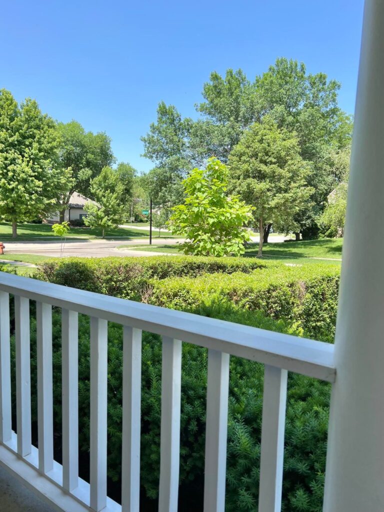 A view looking over a porch railing showing various trees.