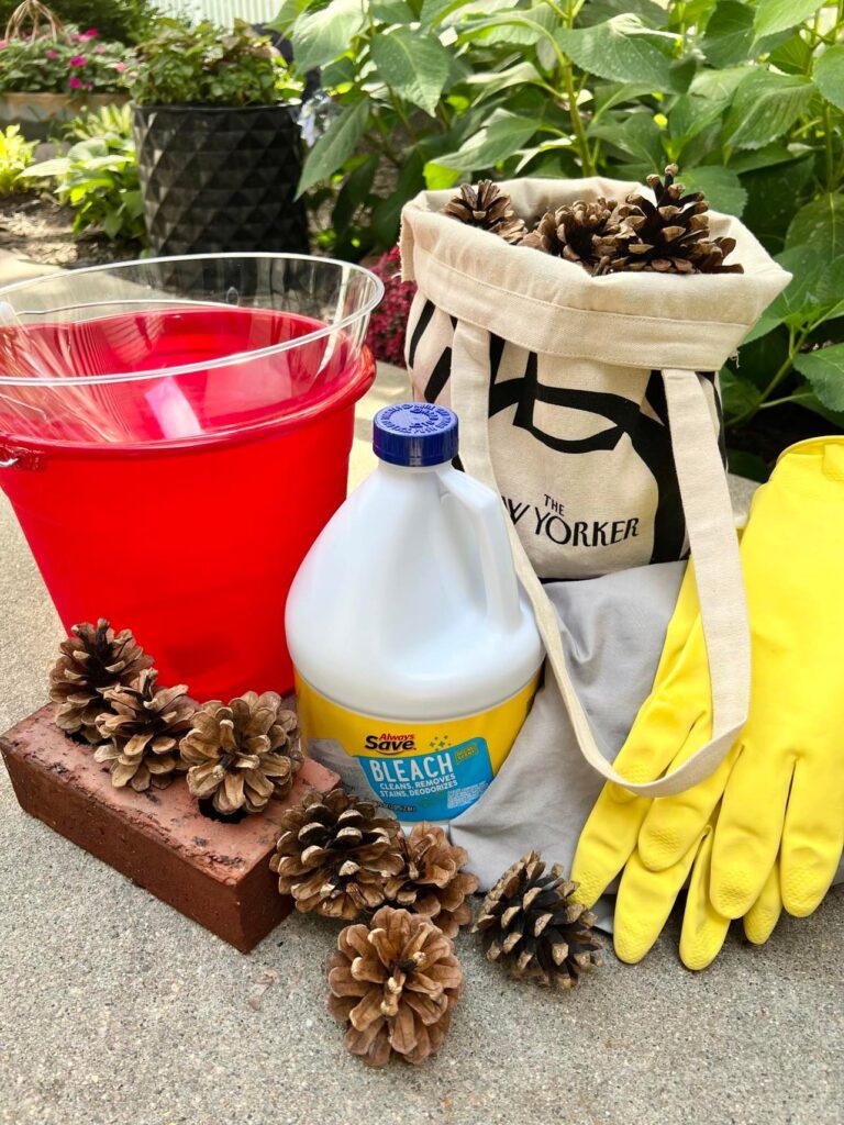 The supplies needed when you know how to bleach pinecones.