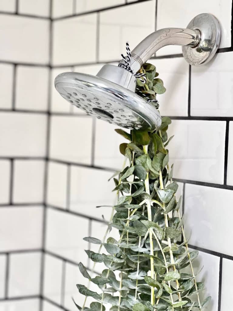 A bunch of green eucalyptus hanging from a shower head.
 Budget-friendly bathroom spa experience.