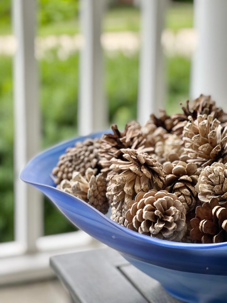 Bleached pinecones in a blue glass bowl. "How to bleach pinecones."