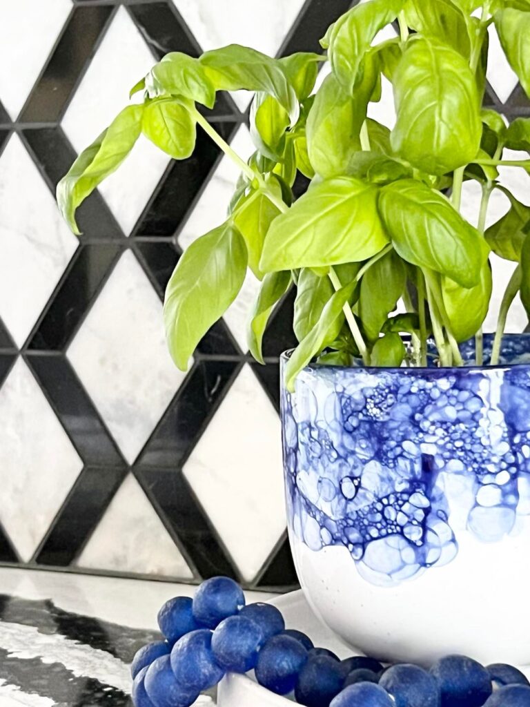 Basil in a blue and white pot displayed as kitchen decor against the backsplash.