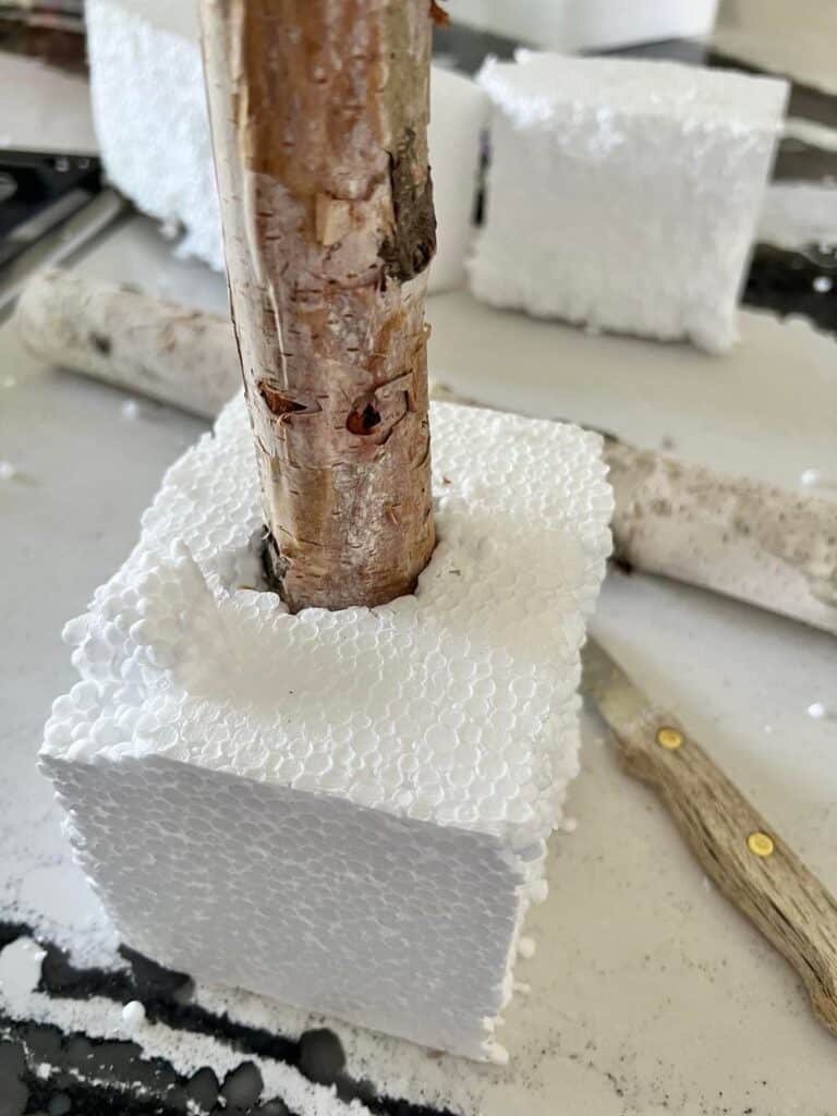 A birch log stuck into a styrofoam block.