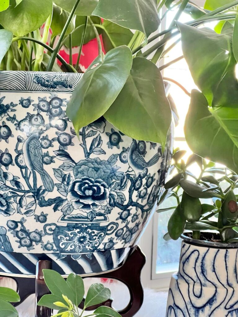 A blue and white chinoiserie pot filled with as monstera plant.
