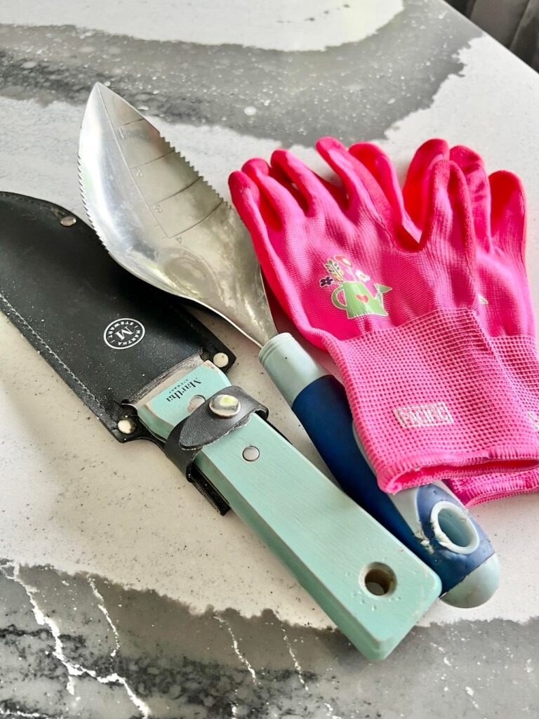 How to Easily Transplant Plants Without Killing Them: A garden trowel, a Japanese Hori Knife, and pink gardening gloves.