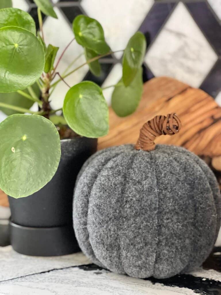 The grey faux pumpkin displayed with leather lacing wound around the plastic stem.