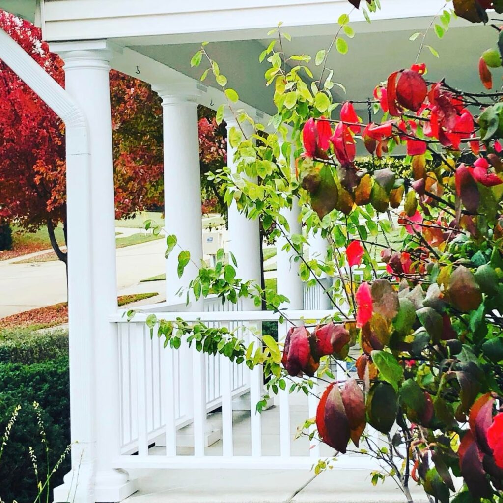 A fall porch with a Burning Bush beginning to change color from green to red.