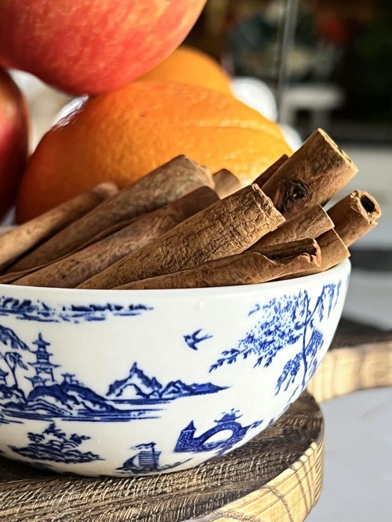 Cinnamon sticks in a chinoiserie bowl.