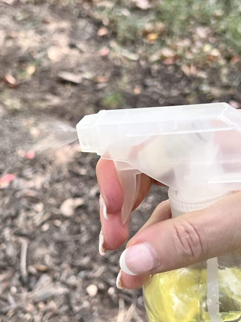 A spray bottle with vinegar.