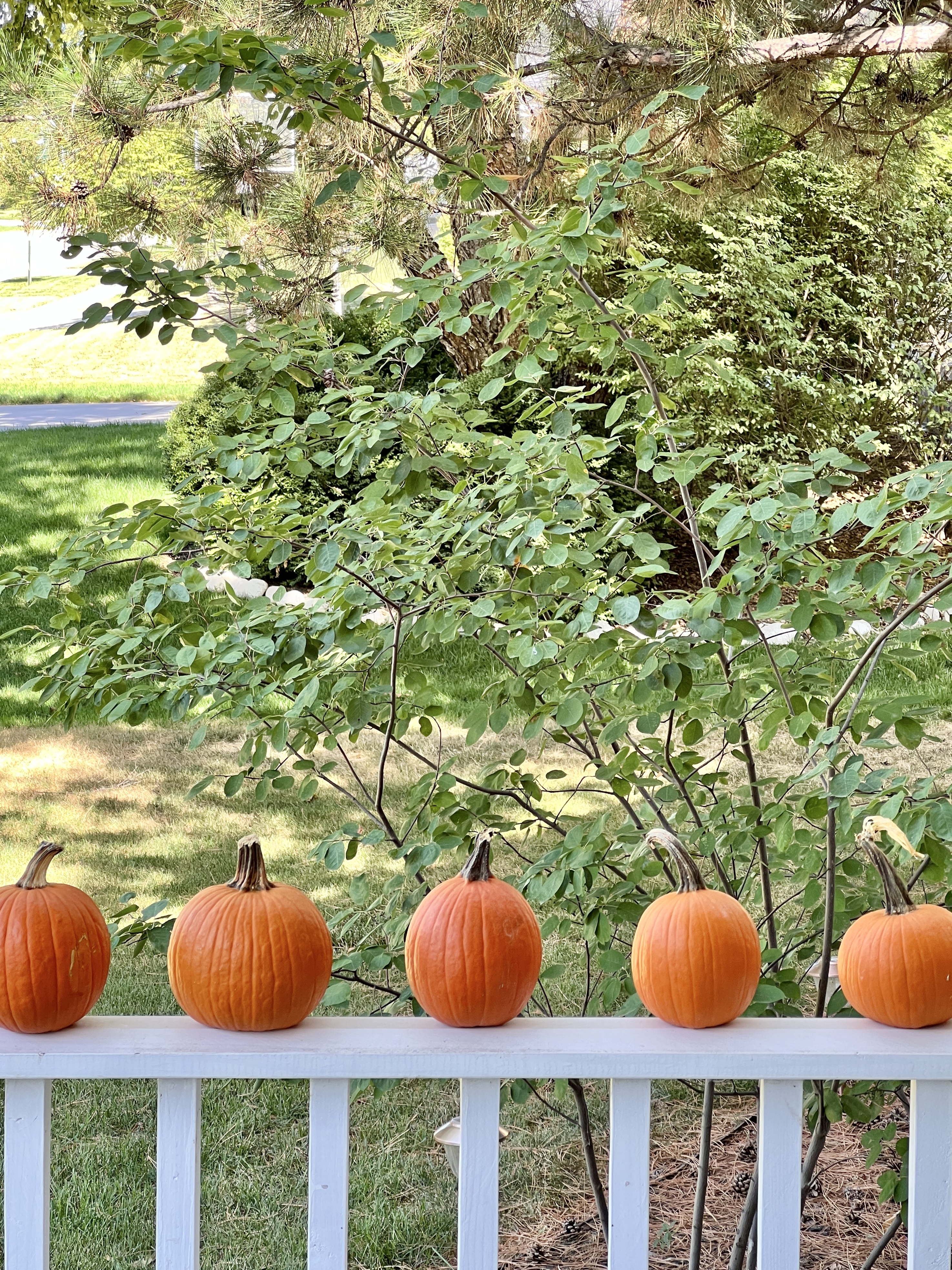 Orange pumpkins lined up on a porch railing for Decorating a cozy Fall Porch Swing.