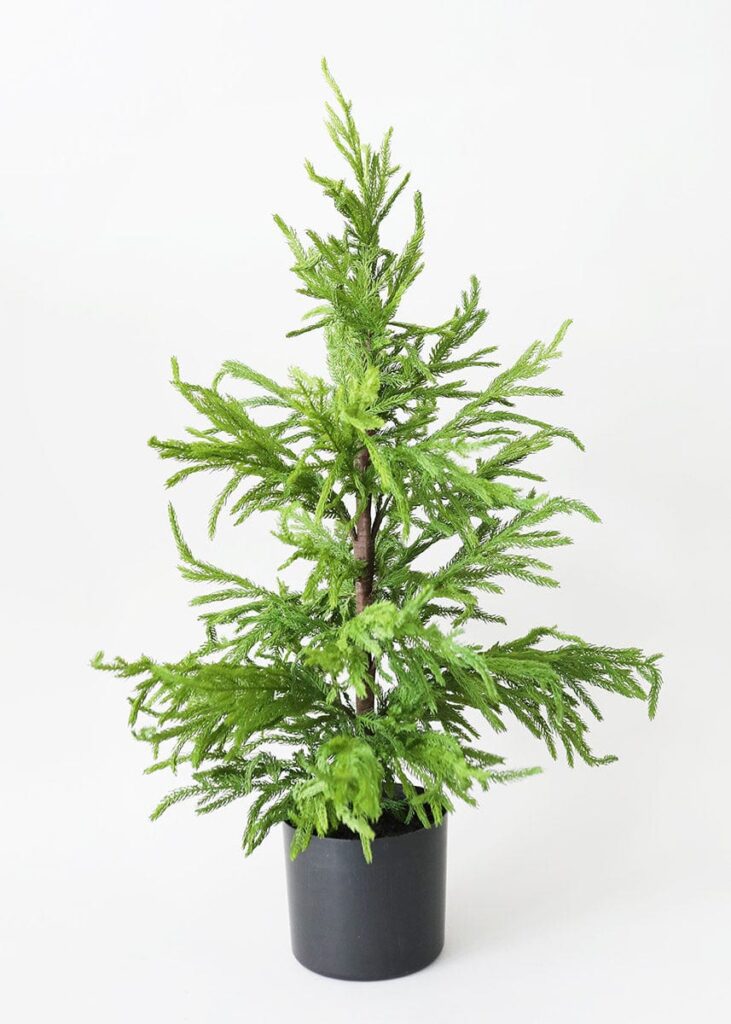 A green faux tree from Afloral.