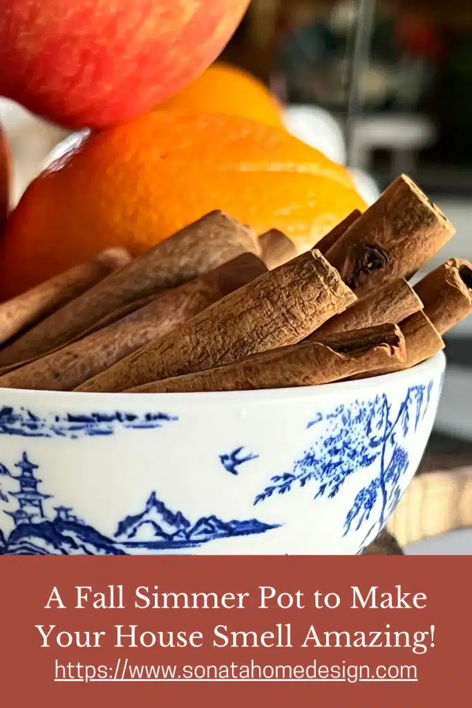 A bowl of cinnamon and fruit.