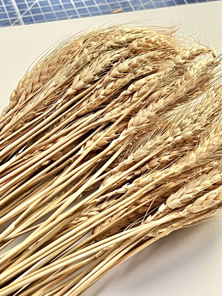 A large bundle of golden wheat stems.