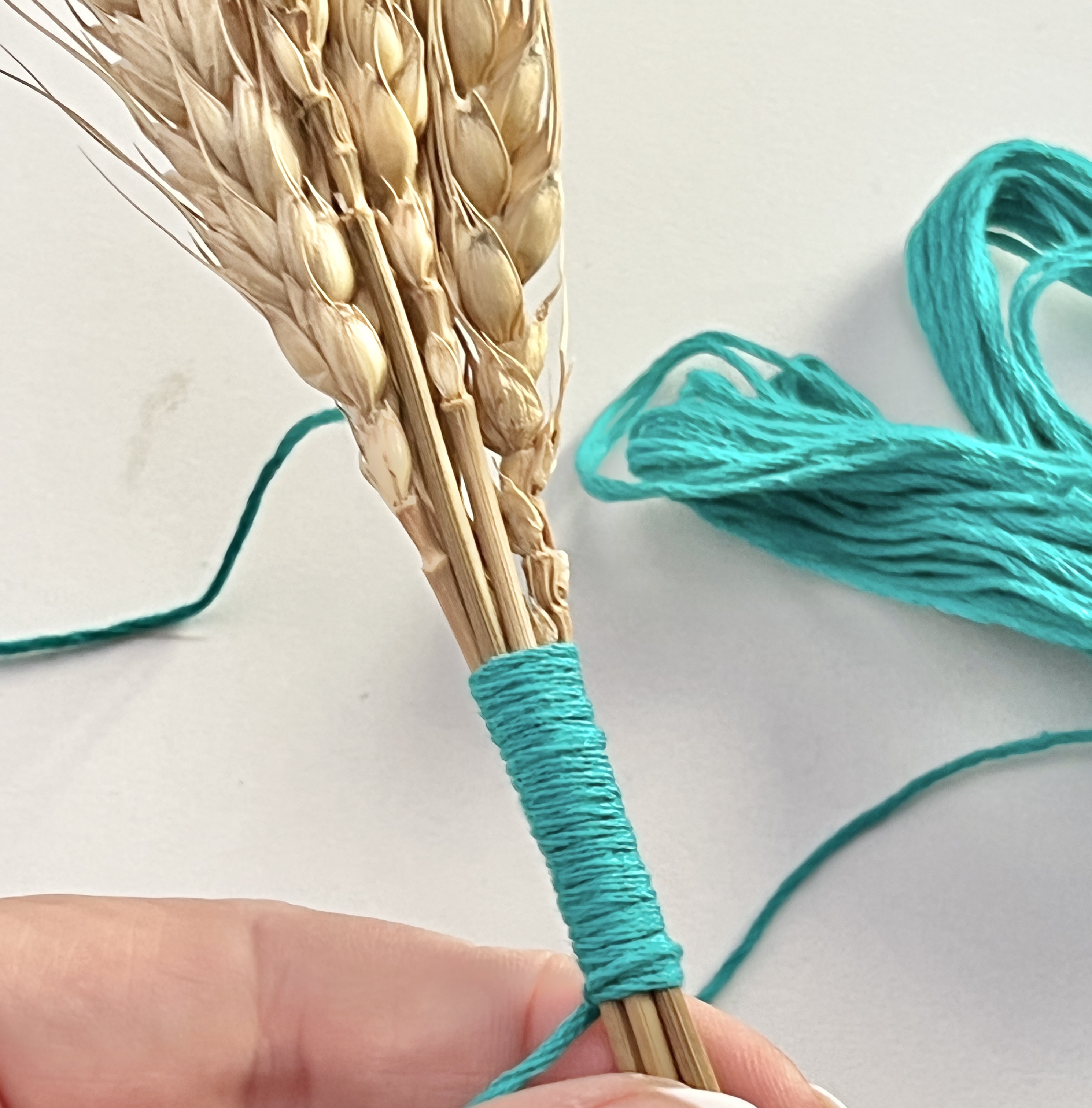 Wrapping the thread around the wheat bundle to the length of an inch to create this Thanksgiving wheat decor idea.