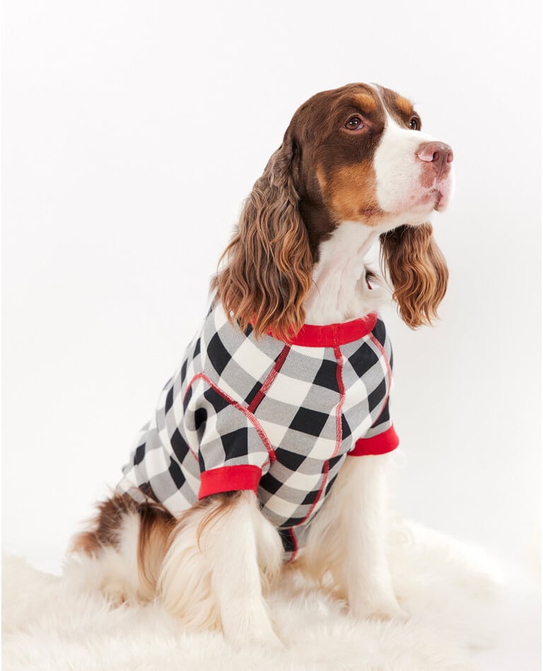 A dog sweater from Gap.