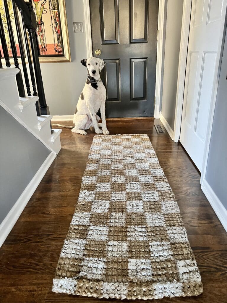 A white dog sitting beside a checkerboard white painted jute rug.