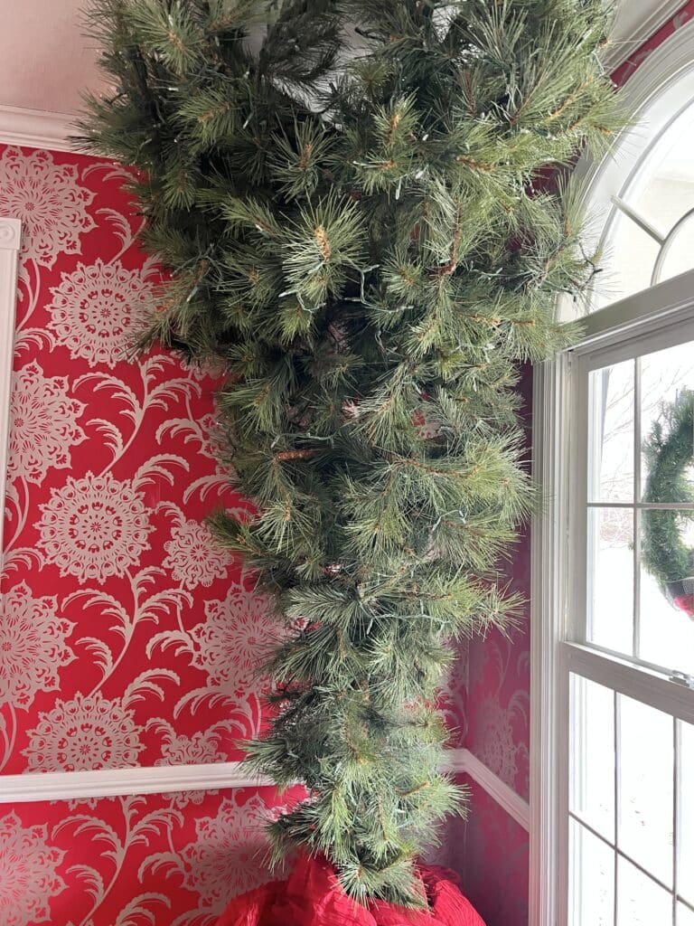 An undecorated upside down Christmas tree sitting on a table.