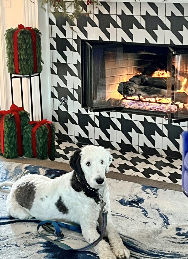 Our dog, Bentley, warming himself beside the fire.