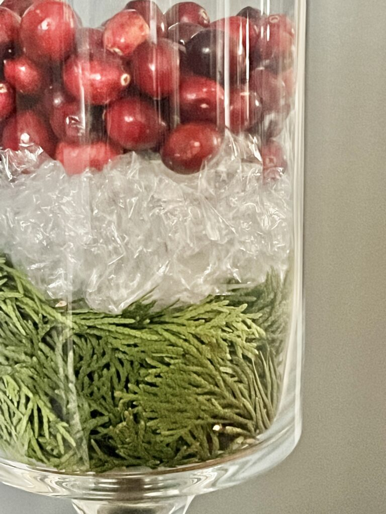 A layer of cranberries on top of the plastic wrap layer.