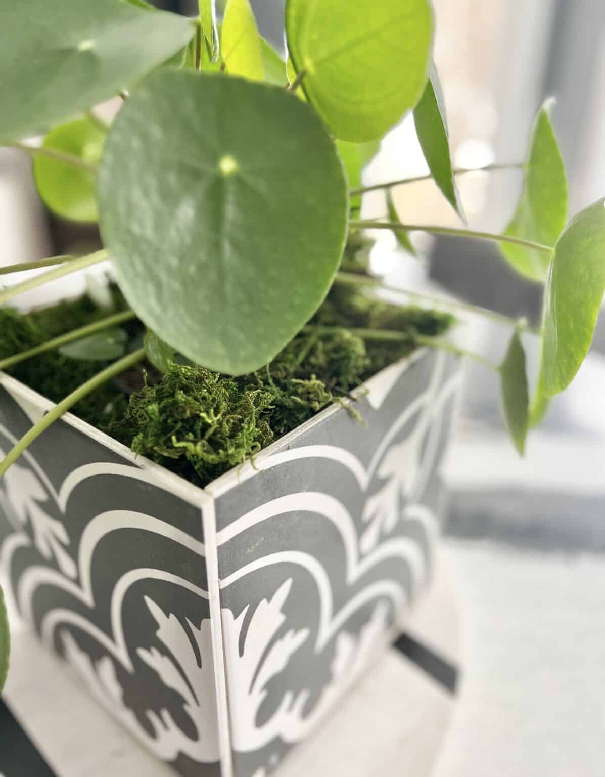How to make a DIY tile planter box