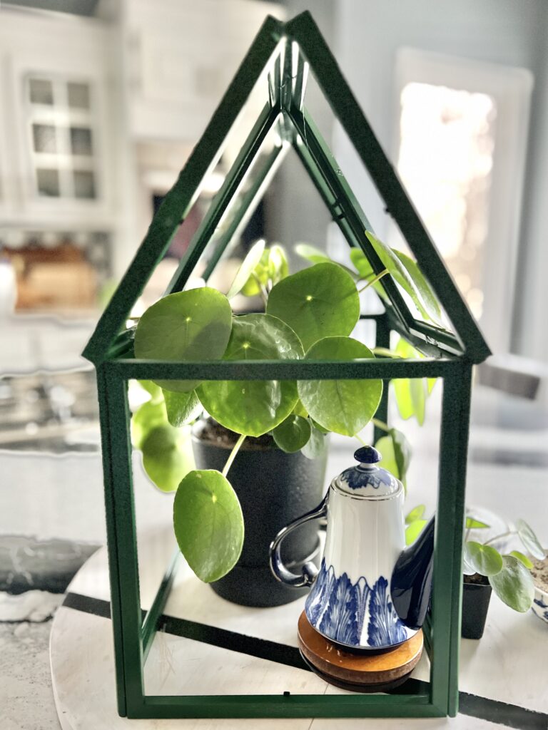 The completed mini tabletop greenhouse.