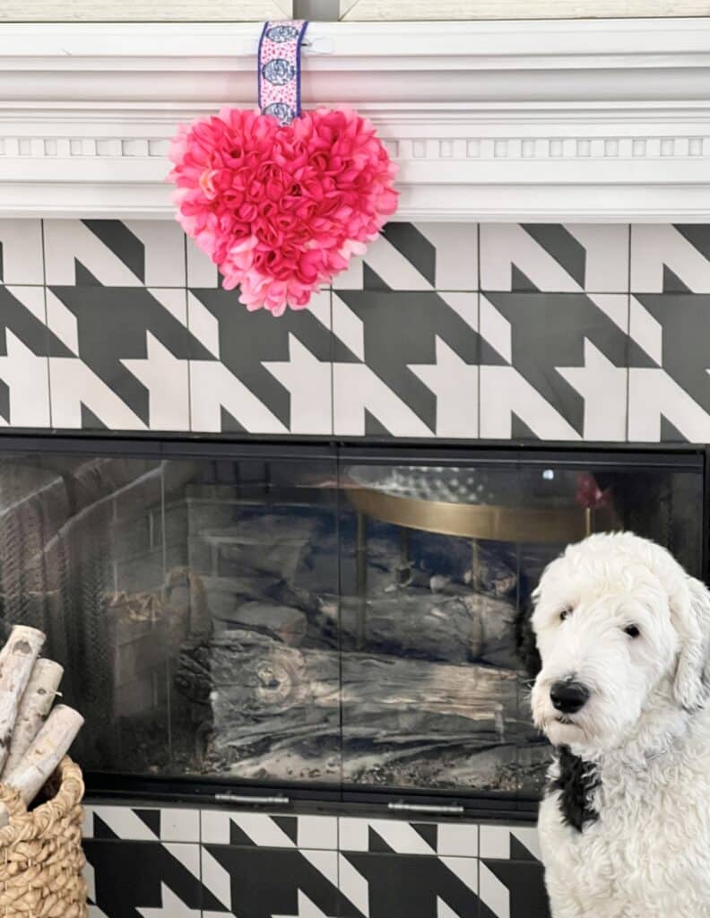 Our dog, Bentley, sitting beside the floral Valentine heart.