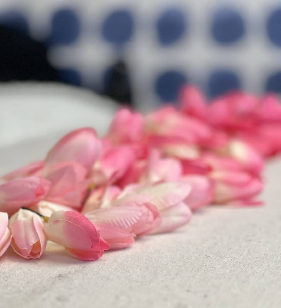 Pink tulips blooms ready for a Valentine craft.