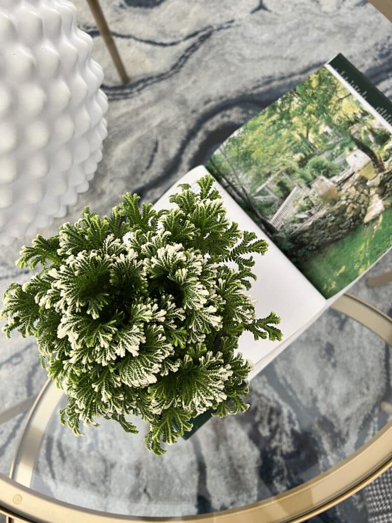A garden book sitting on open on a coffee table with a fluffy fern sitting on top.