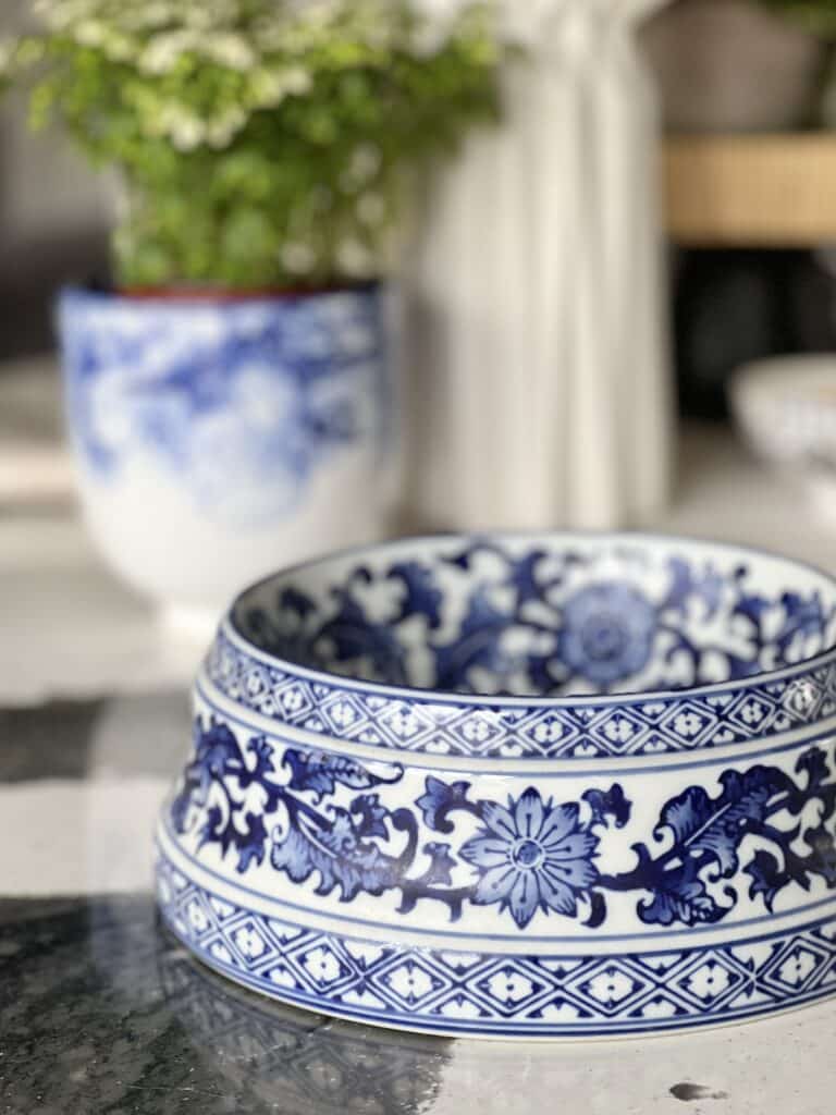 a ceramic blue and white dog dish