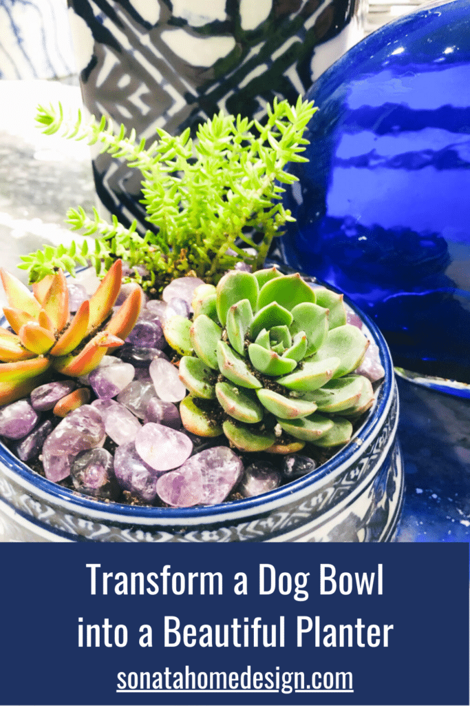 Transform a dog bowl into a beautiful planter for succulents.