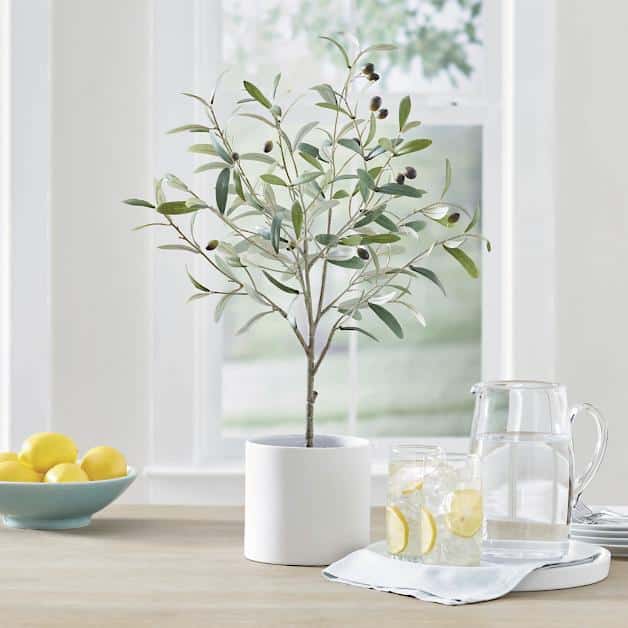 A faux olive topiary from Grandinroad.