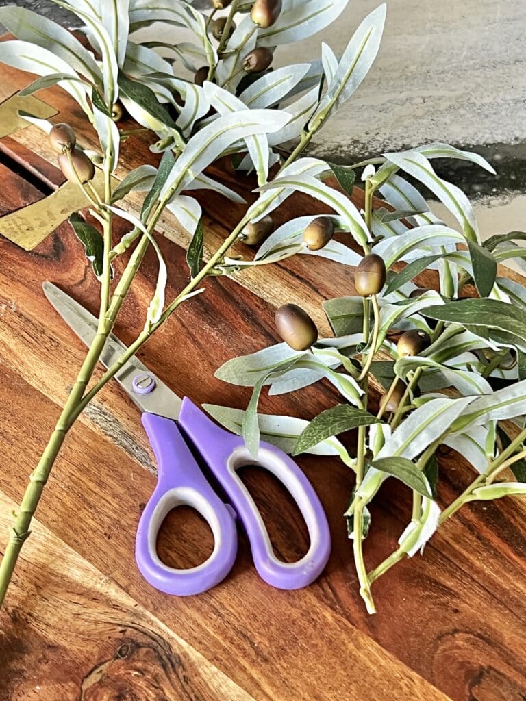 Cutting the olive stems from the branch with scissors.