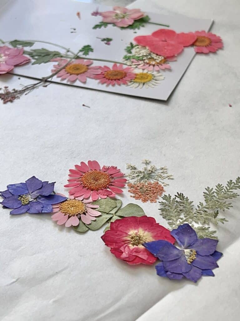 Pressed flowers arranged in a design.