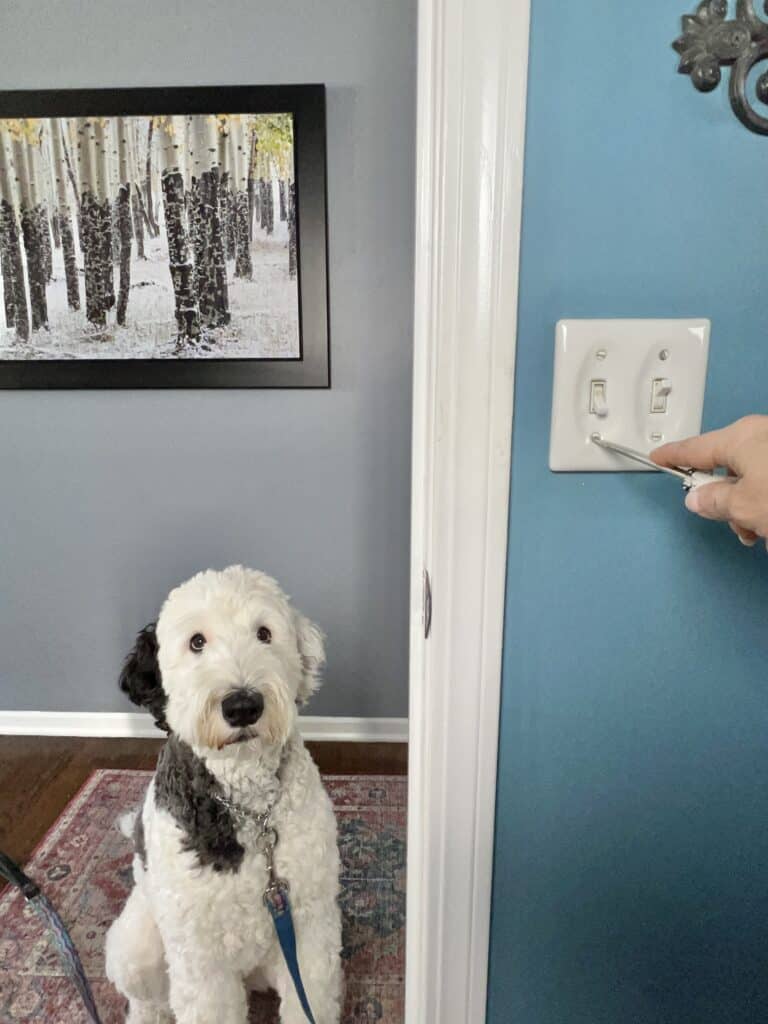 Removing a switch plate on the wall.