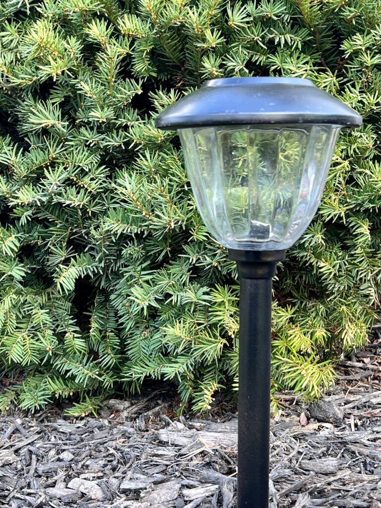 A painted solar light nestled among a green evergreen bush.