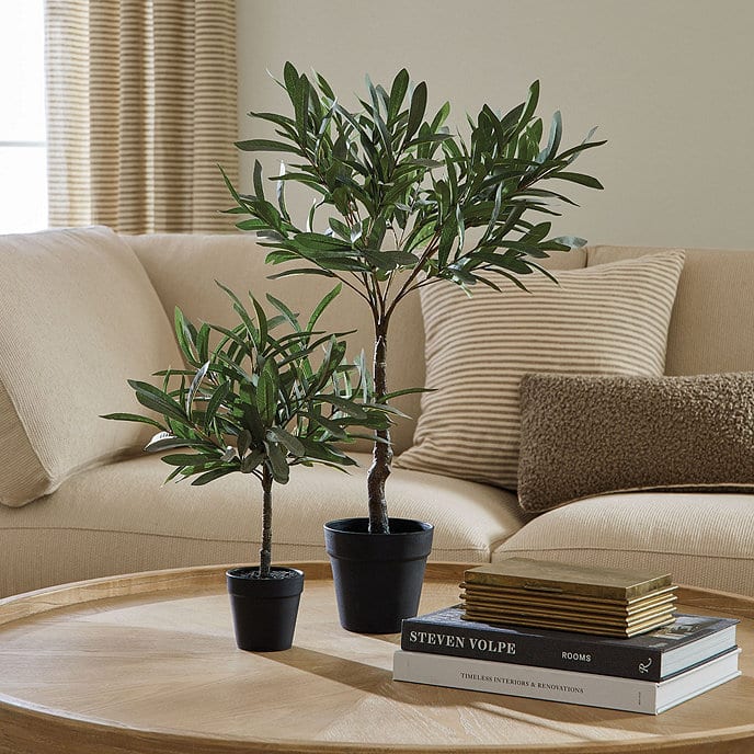 Two faux olive topiary tree from Pottery Barn.