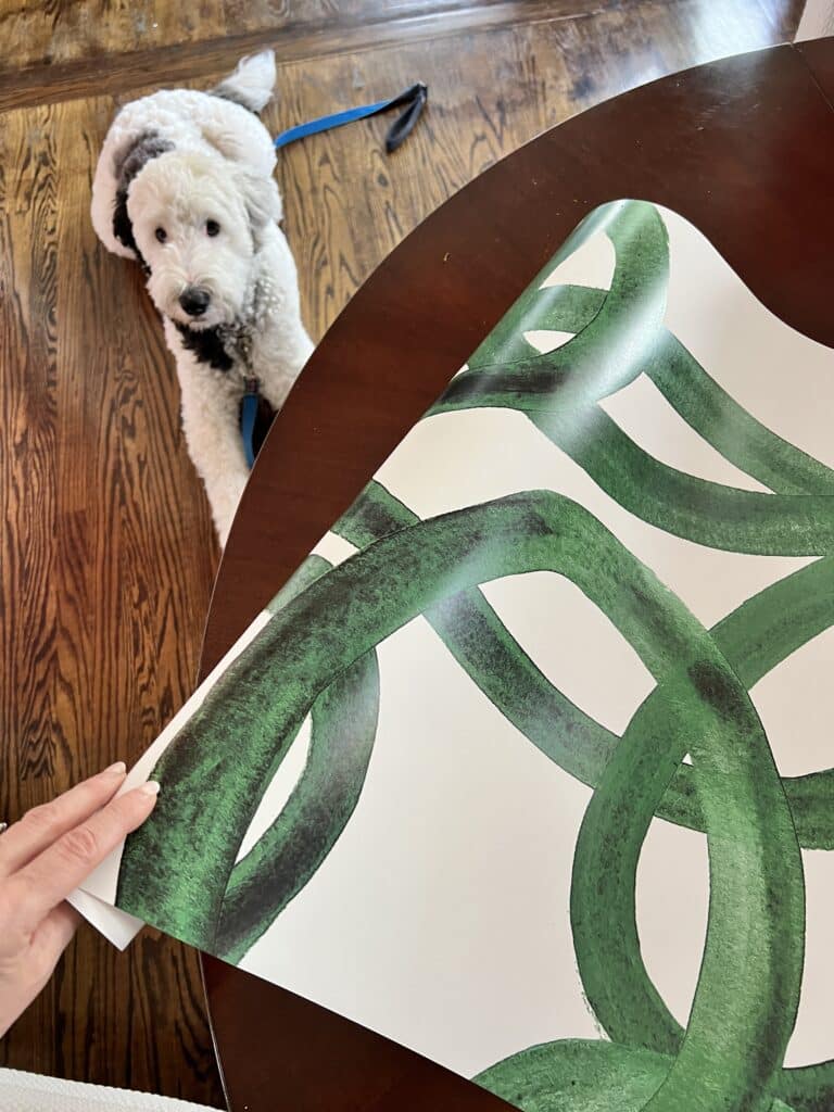 Unrolling. roll of wallpaper for DIY crafts as a white dog looks on.