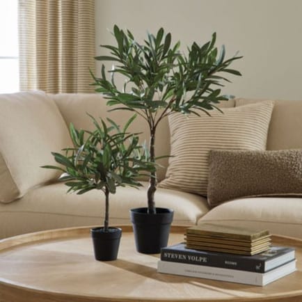 Ballard Design faux olive topiary tree.