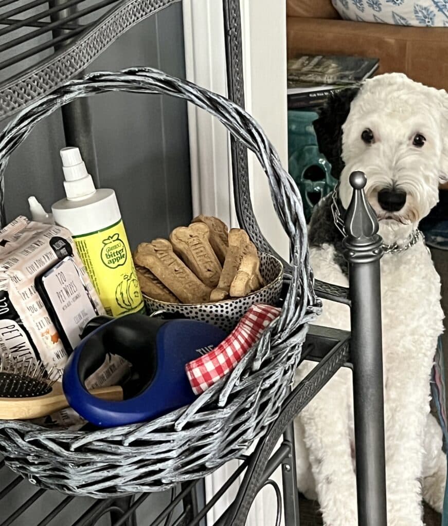 Kitchen Bakers Rack Decorating Ideas - A basket of dog treats and a dog leash sit in a basket as a sheep-a-doodle dog looks on.