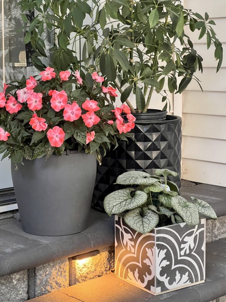 How to arrange potted plants on a patio: a grouping of three coordinated planter pots on some stone stairs.