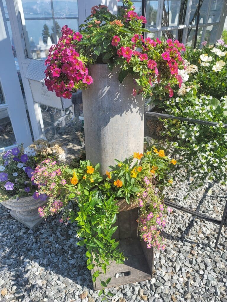 How to arrange potted plants on a patio: a tall planter made from a chickern feeder from Sweet Valley Acres and with pink trailing flowers.